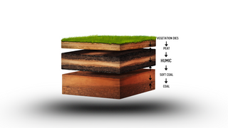 Sources of Fulvic Acid