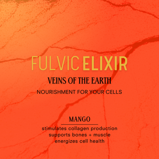 Fulvic Elixir | Mango